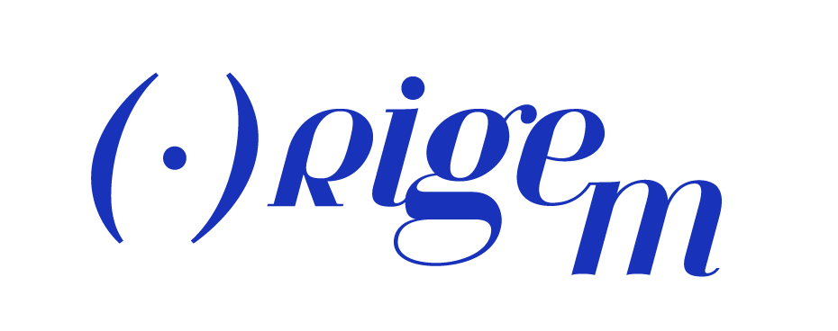 Origem Consult